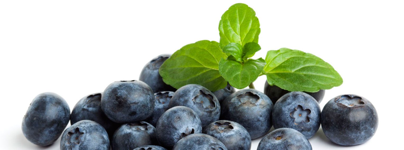 Черника. Топ-5 самых богатых витаминами фруктов и ягод